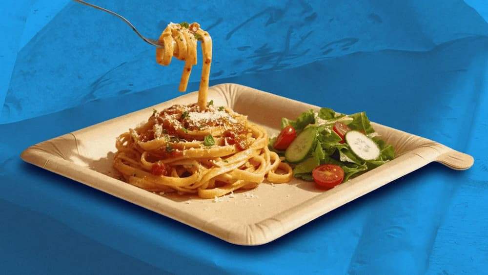 ظروف یکبار مصرف گیاهی مناسب پذیرایی و مصرف روزانه